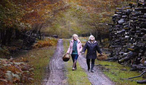 When Autumn Falls  two women walk hand in hand down an autumnal woodland path