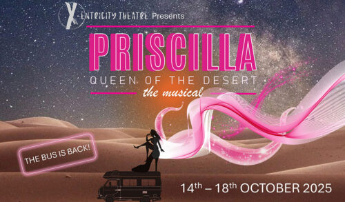 Priscilla Queen Of The Desert written on a starry sky in the desert with a silhouette of a bus